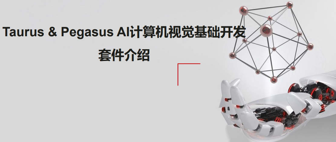 Taurus & Pegasus AI计算机视觉基础开发套件介绍